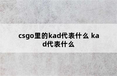 csgo里的kad代表什么 kad代表什么